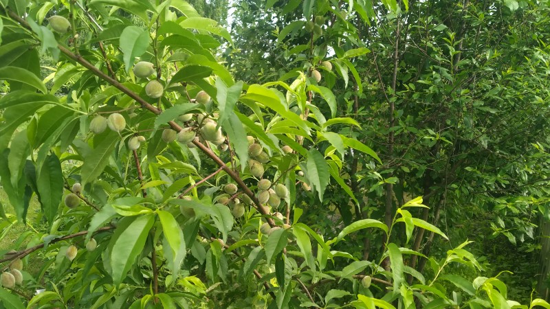 IMG20240623092414.jpg