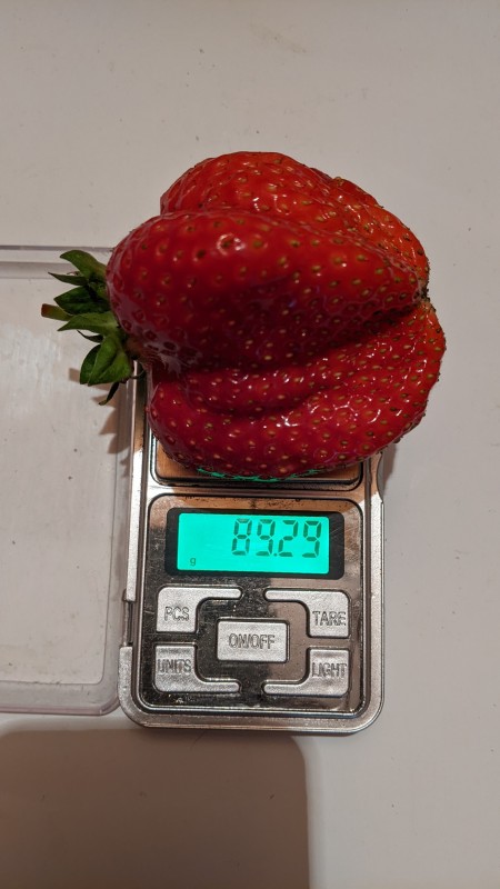 PXL_20240627_140311110.jpg