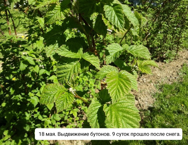 Screenshot_20240705-145834_Gallery.jpg