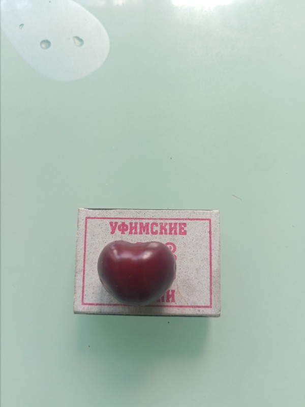IMG20240706095850.jpg