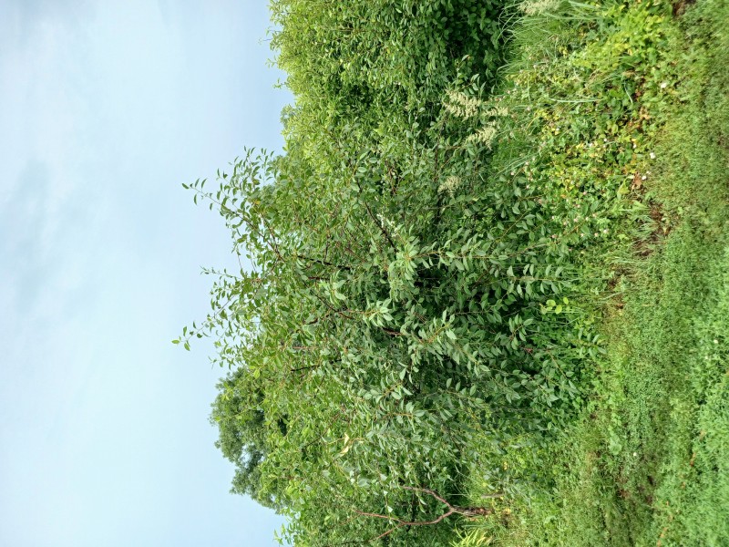 20240705_095325.jpg