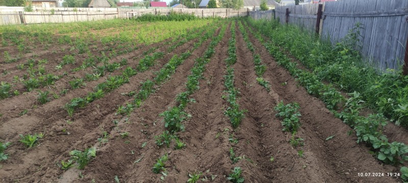IMG_20240710_192430.jpg