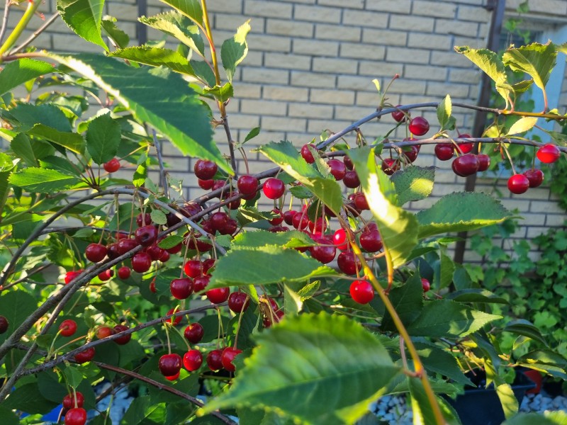20240710_205750.jpg
