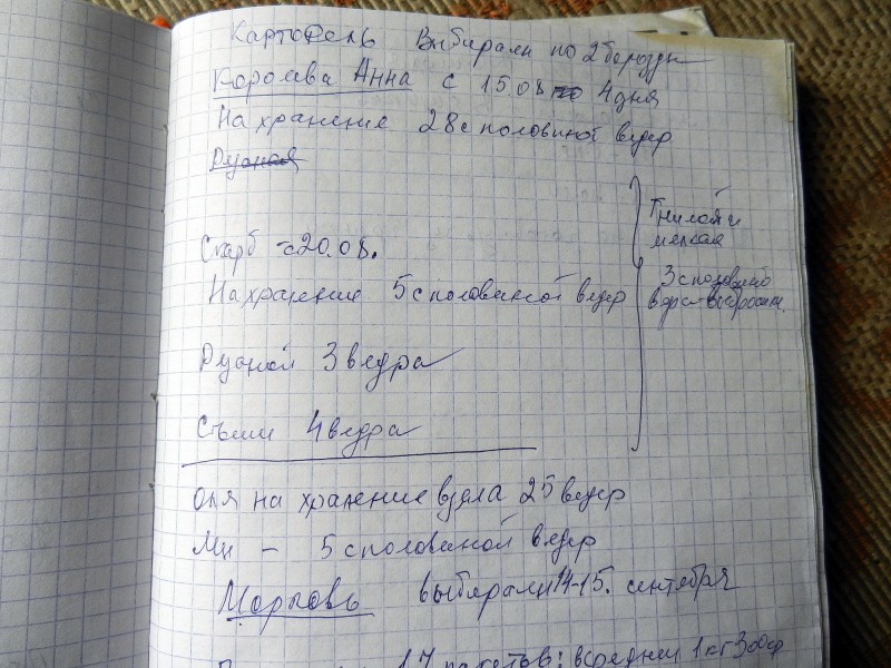 3.JPG