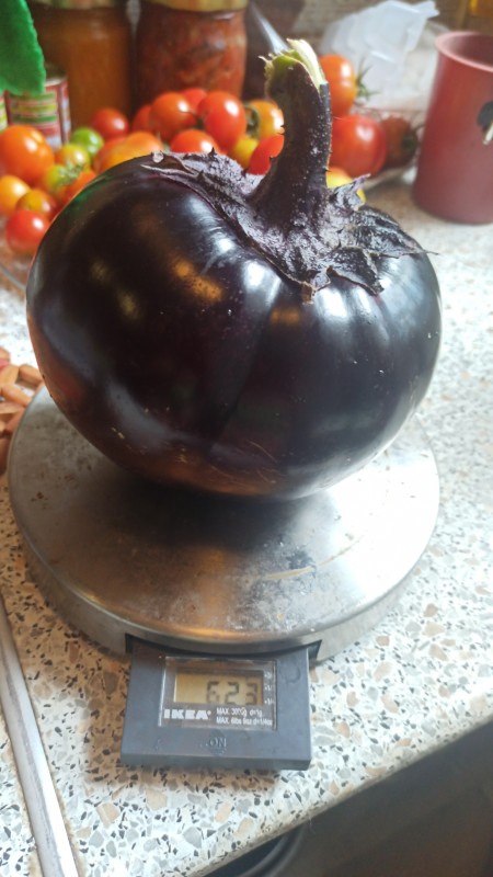IMG-20240715-WA0005.jpeg