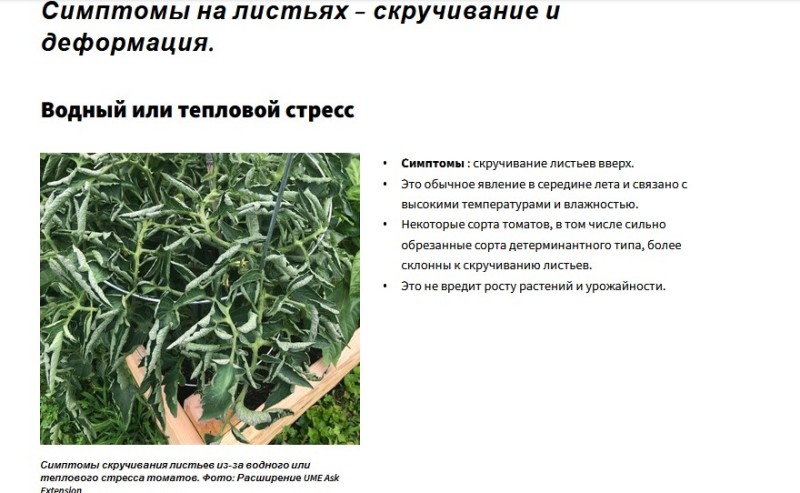 Screenshot_1202.jpg