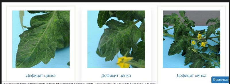 Screenshot_6.jpg
