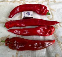 Перец Рог буйвола Ф1.JPG