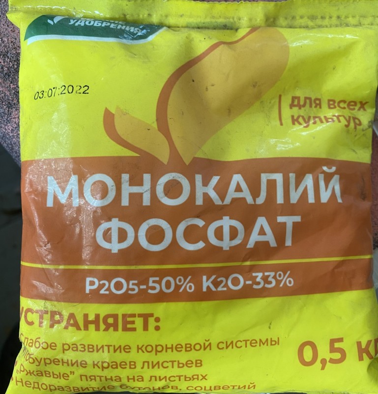 IMG_8265.jpeg