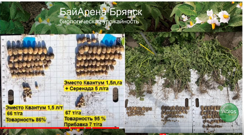 Screenshot 2024-07-23 at 15-27-34 Конференция «Картофельный клуб БАЙЕР 2024» выставки Картофель и Овощи Агротех 2024 - YouTube.png