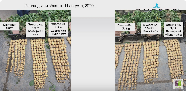 Screenshot 2024-07-15 at 16-58-09 Современные технологии защиты овощных культур и картофеля.png