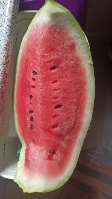 IMG-20240808-WA0017.jpeg