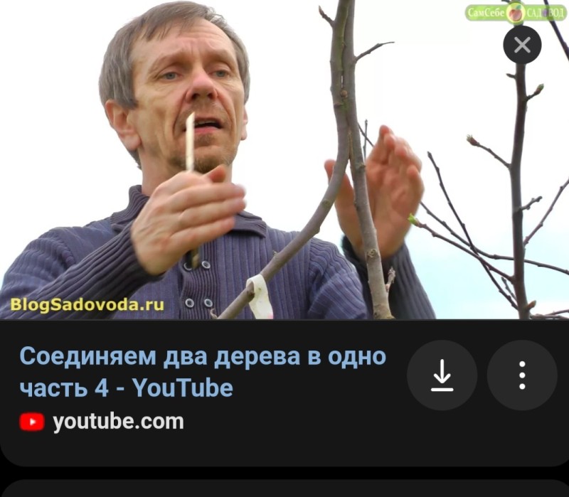 Screenshot_20240813-154420_Yandex.jpg