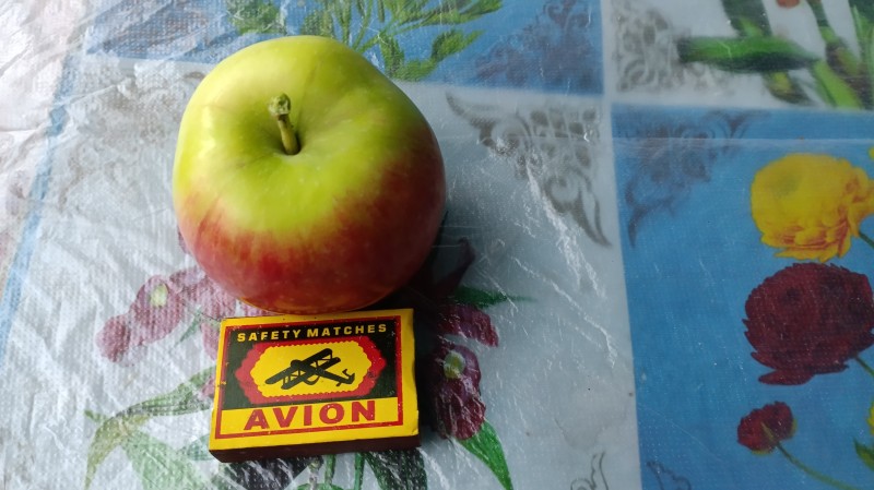 IMG_20240815_151231.jpg