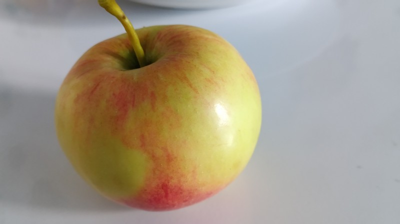 IMG_20240818_165148.jpg