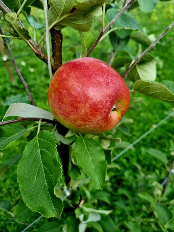 20240830_180330.jpg