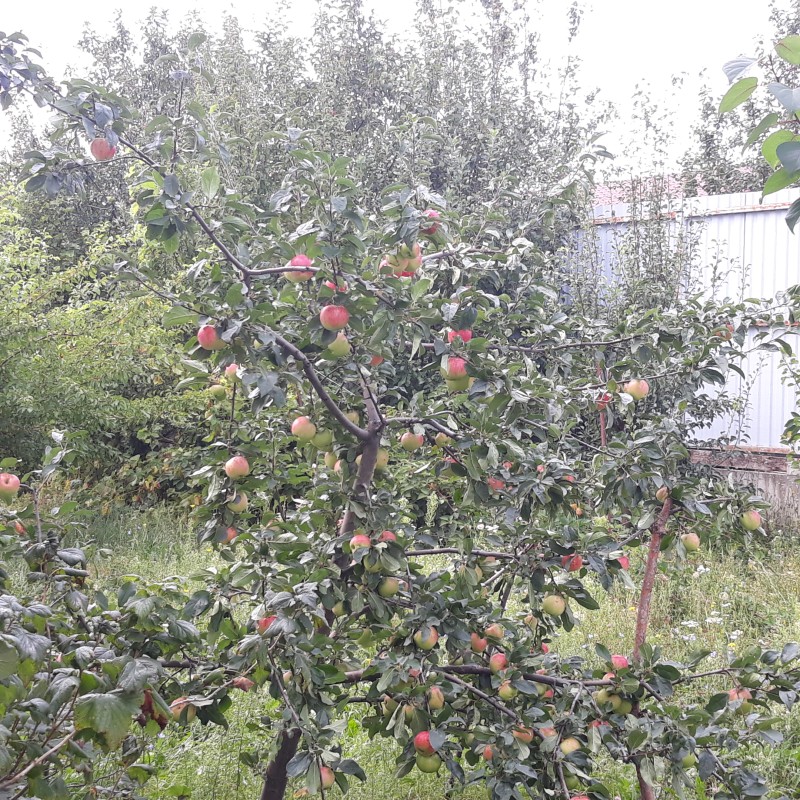 20230902_134639 Скала.jpg