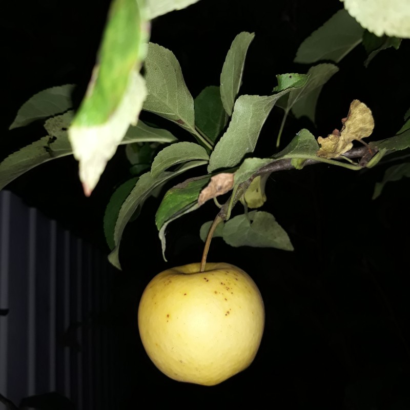 20190906_224011 Айнур.jpg