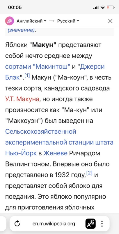 IMG_8598.jpeg