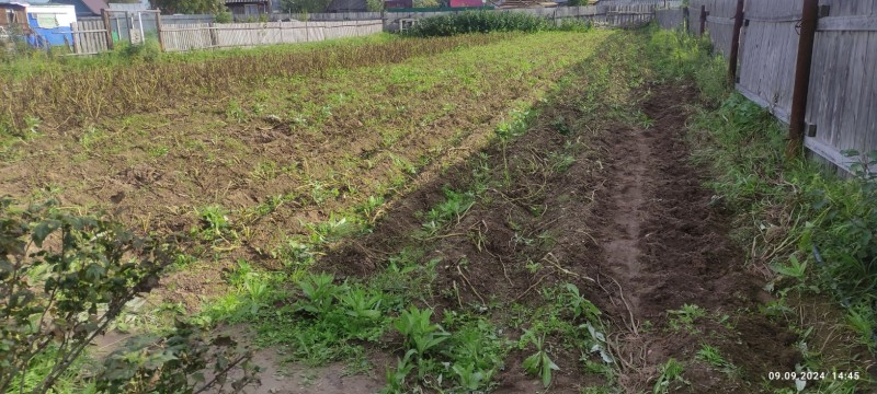 IMG_20240909_144519.jpg