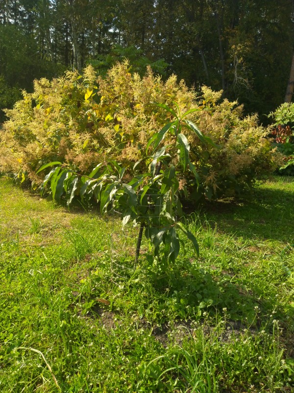 IMG20240921144647.jpg