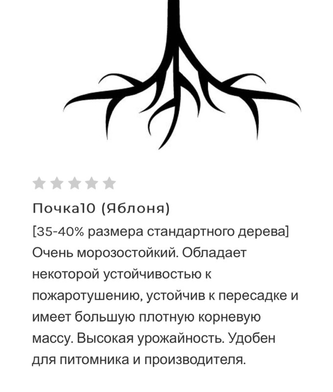 IMG_8883.jpeg