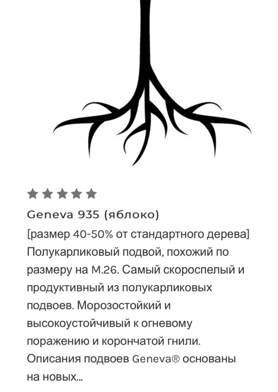 IMG_8885.jpeg