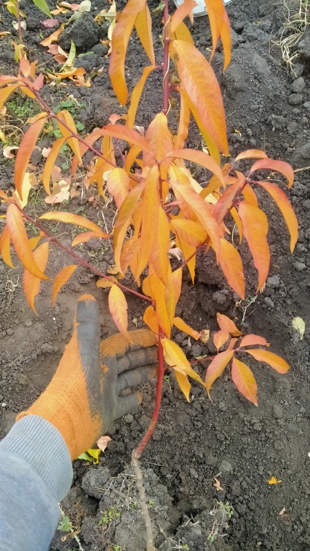 IMG20241008163612.jpg