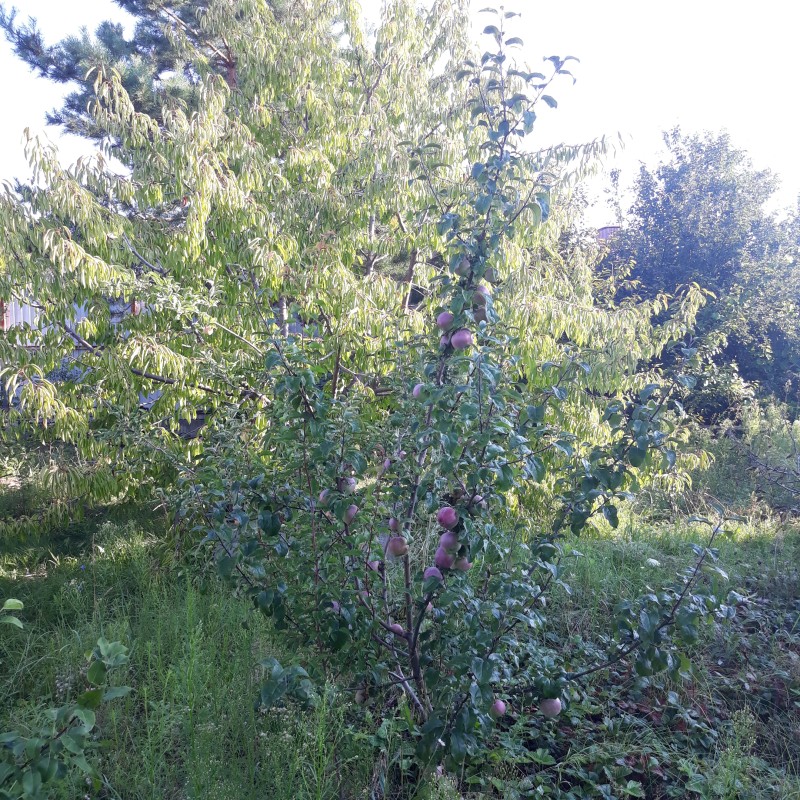 20230803_065649.jpg