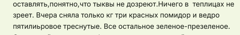 не зреют томаты в теплице  до осени.png