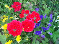 DSC01239.JPG