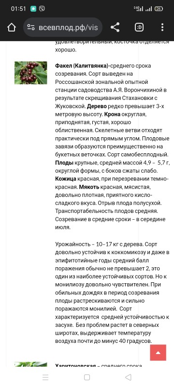 Screenshot_2024-11-15-01-51-56-24.jpg