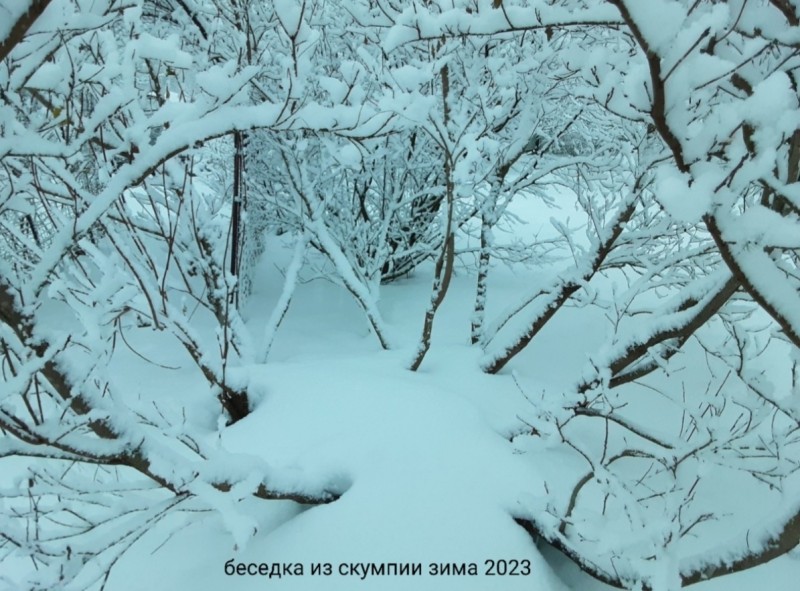 Screenshot_20241119-190739_Gallery.jpg