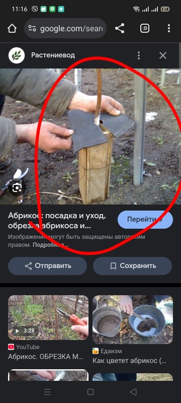 Screenshot_2024-11-27-11-16-08-04.jpg