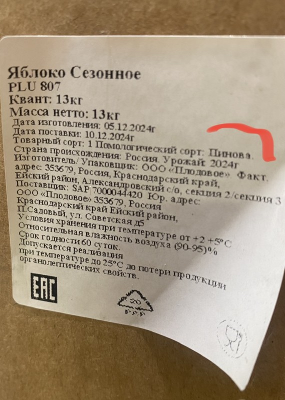 IMG_9355.jpeg