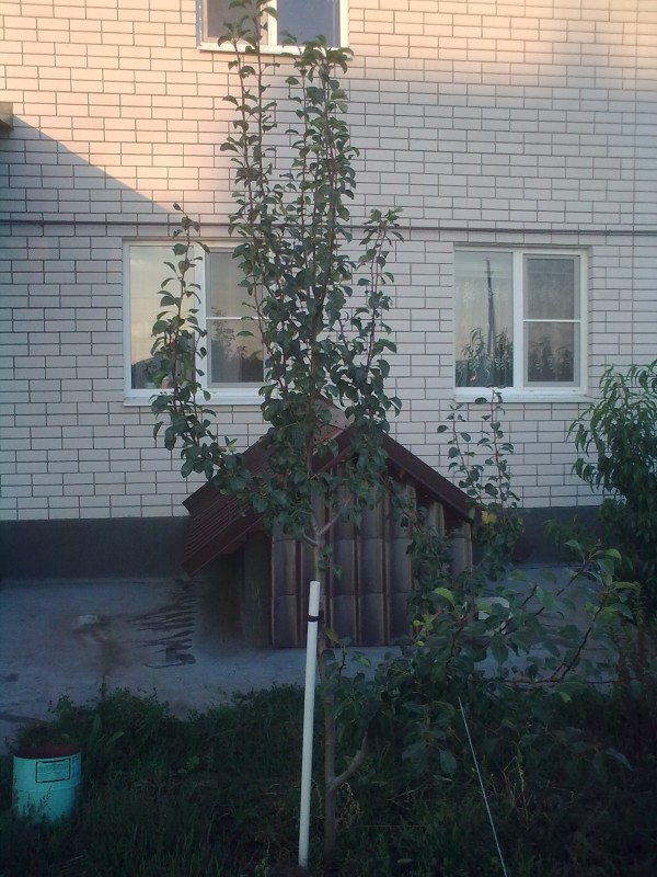 Татьяна 09.2014.jpg