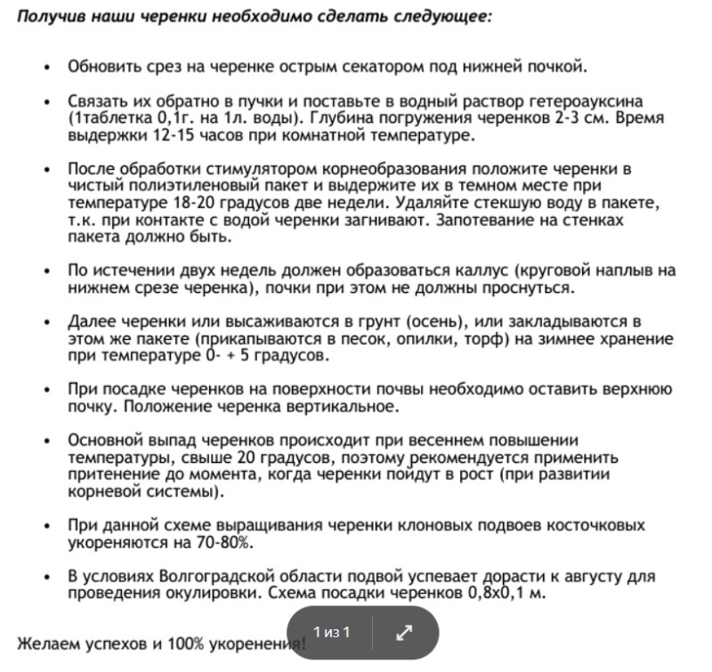 Инструкция Стаховского по укоренению.jpg