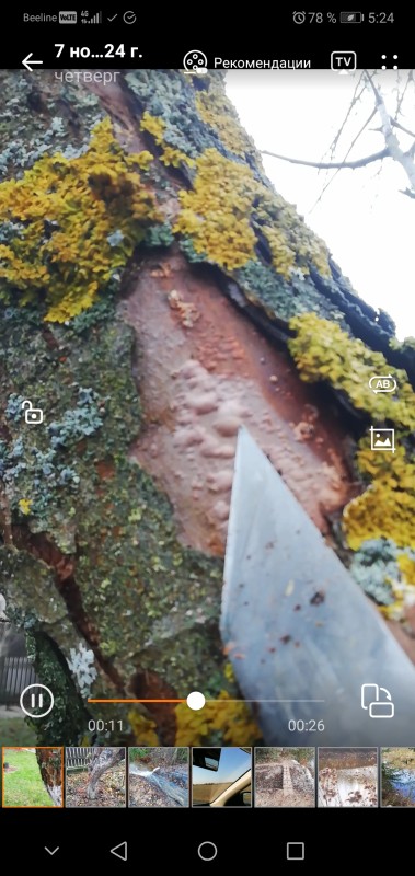 Screenshot_20250305_052441_com.huawei.himovie.overseas.jpg