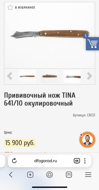 IMG_9697.jpeg