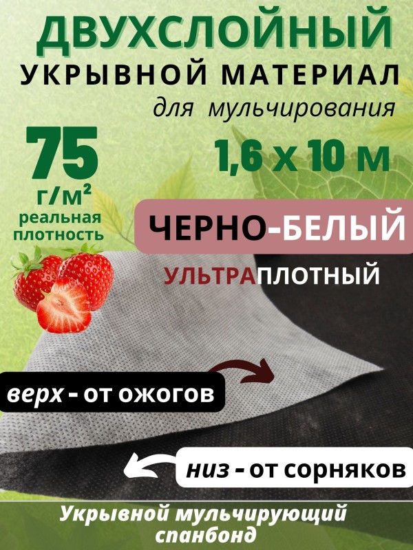 6587056860.jpg