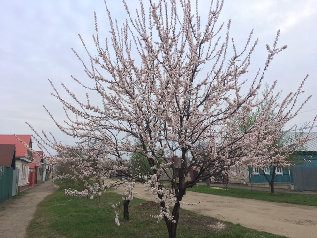 image1.jpeg