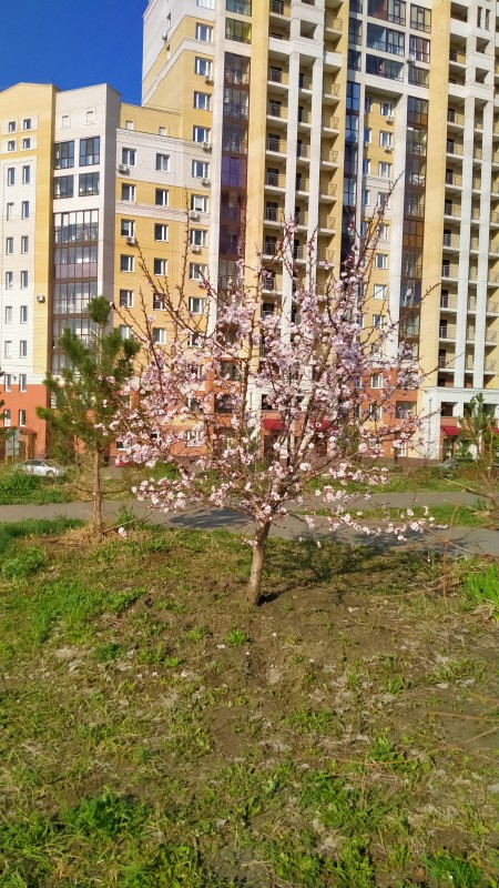 IMG20250428085003.jpg