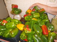 DSCN0396.jpg