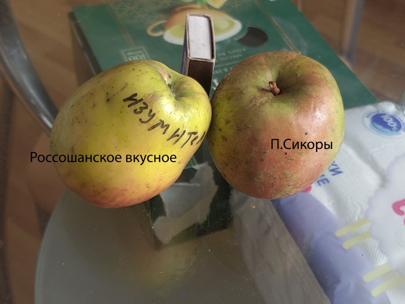 Р.Вкусное