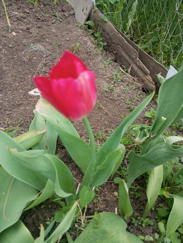 IMG_20250530_163555.jpg
