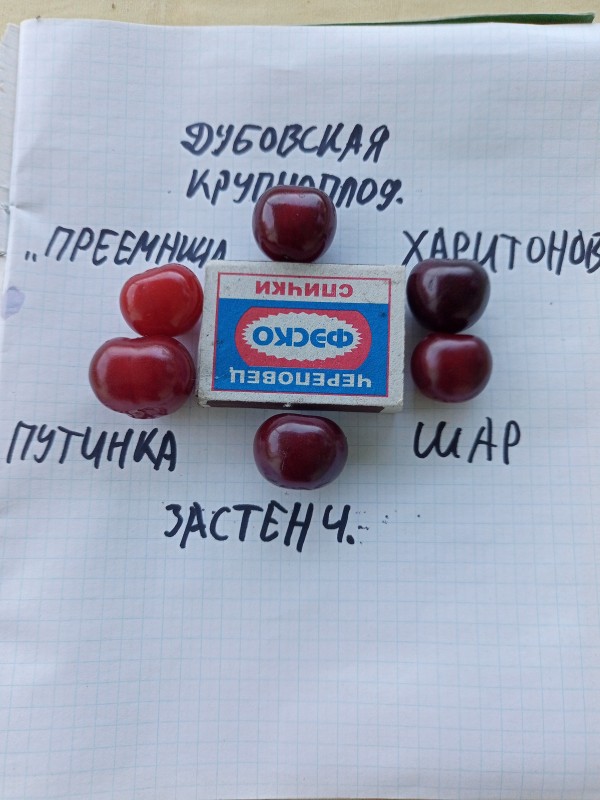 IMG20250629191241.jpg