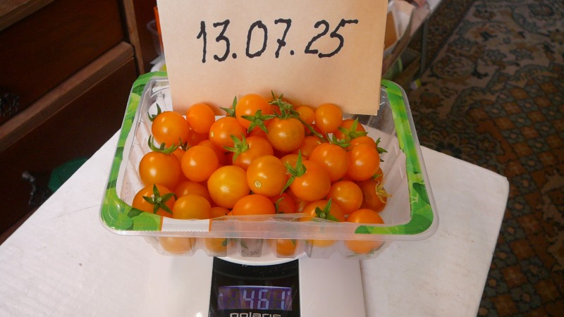 P1020653.JPG
