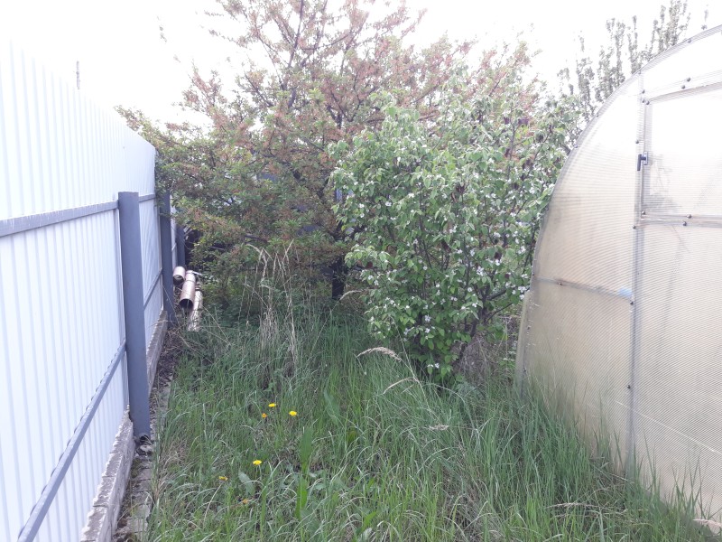 20250508_172636.jpg