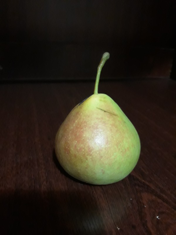 20250727_215556.jpg