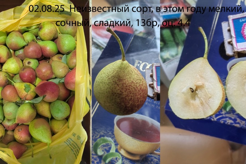 Н.гр.на Л.Я..jpg